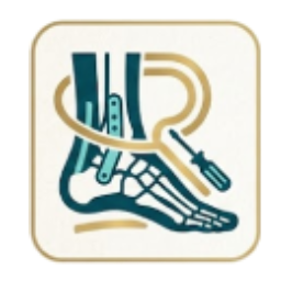 ankle